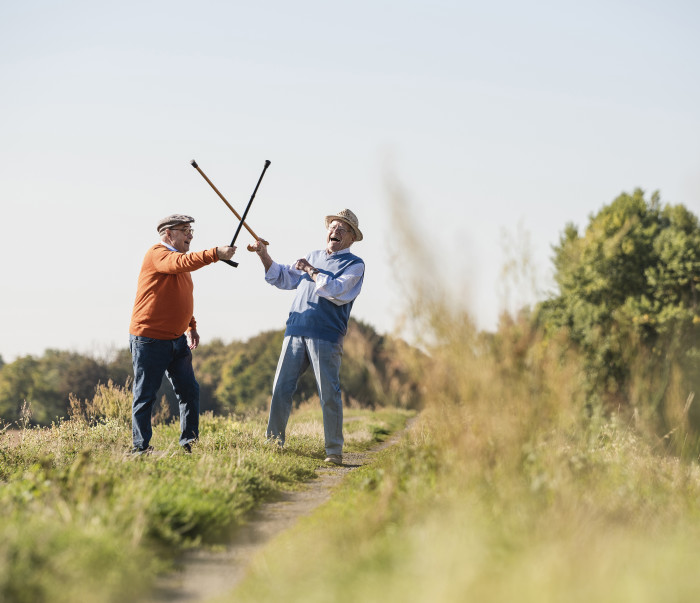 two-old-friends-fencing-in-the-fields-with-their-w-2023-11-27-05-06-04-utc.jpg