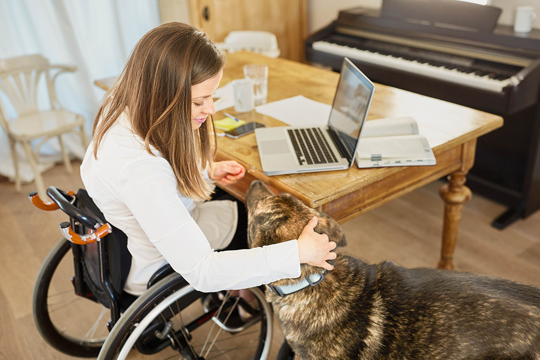 Rollstuhlfahrerin sitzt am Labtop und erhält Besuch von einem Hund.