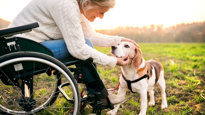 a-senior-woman-in-wheelchair-with-dog-in-autumn-na-2023-11-27-05-17-10-utc.jpg