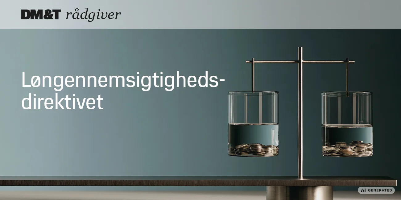 dmogt raadgiver løngennemsigtighedsdirektivet NY26 1300x650