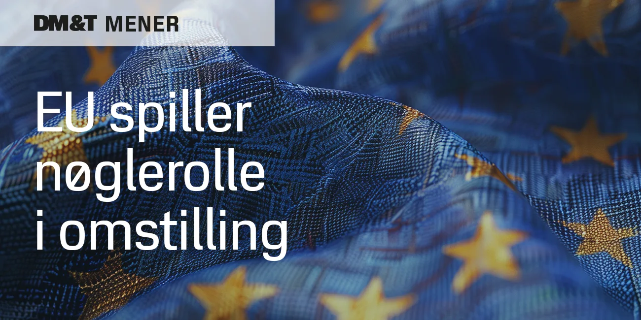 dmogt mener eu spiller nøglerolle i omstilling