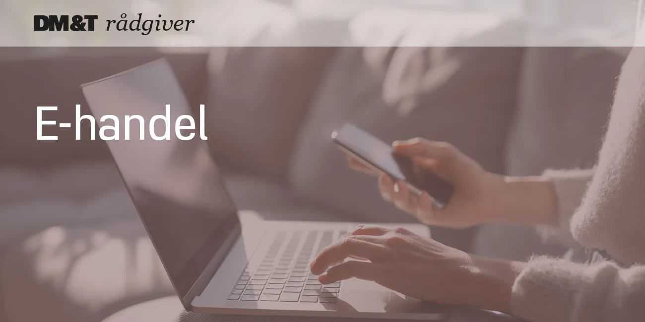 dmogt rådgiver e-handel1 1300x650