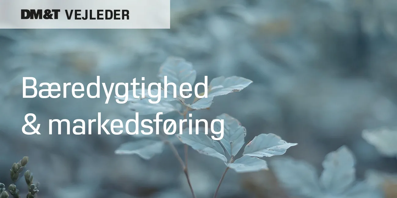 dmogt vejleder bæredygtighed og markedsføring