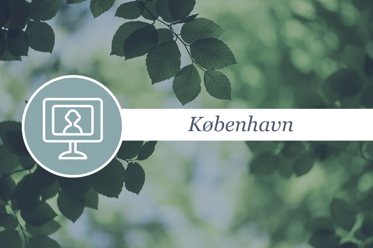 040526 Fyraftensmøde hvad har I brug for i jeres arbejde med ESG 1300x866px