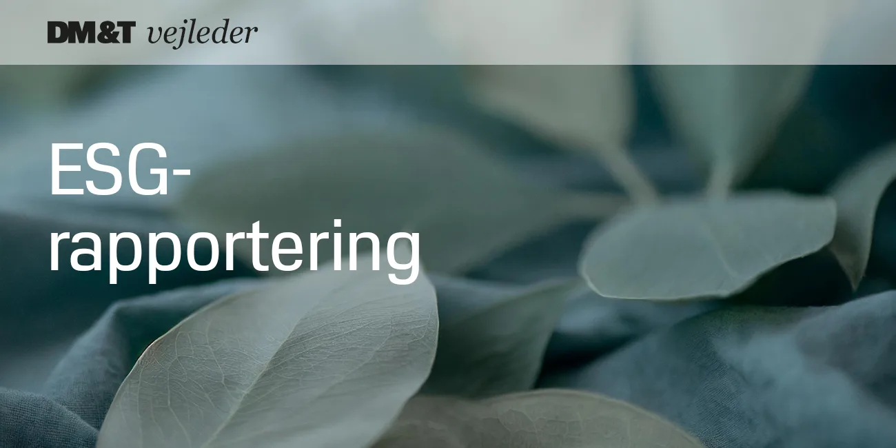 dmogt vejleder esg-rapportering