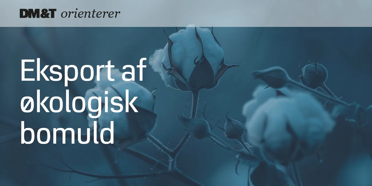 dmogt orienterer eksport økologisk bomuld 1300x650