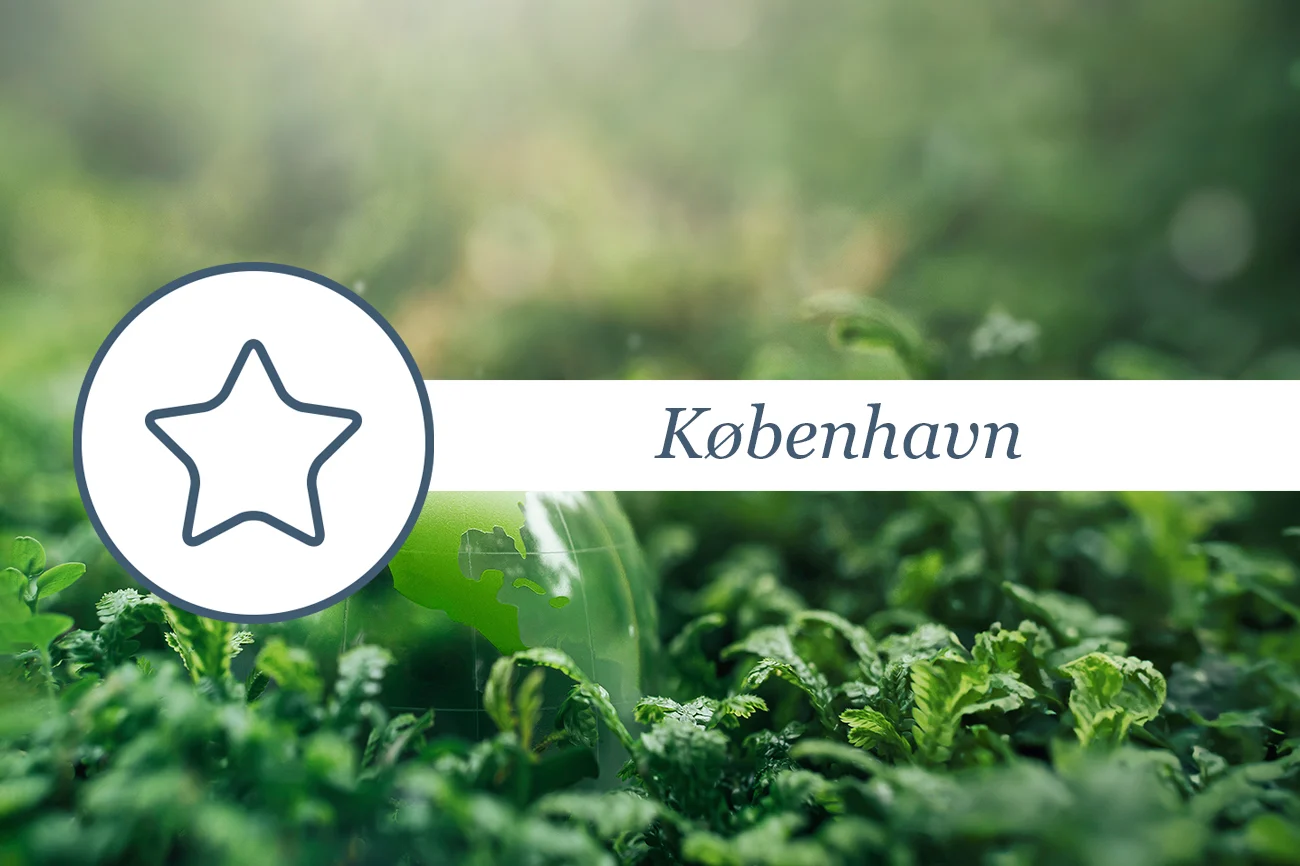 25nov25 Bæredygtige værdikæder i Sydasien 1300x866px