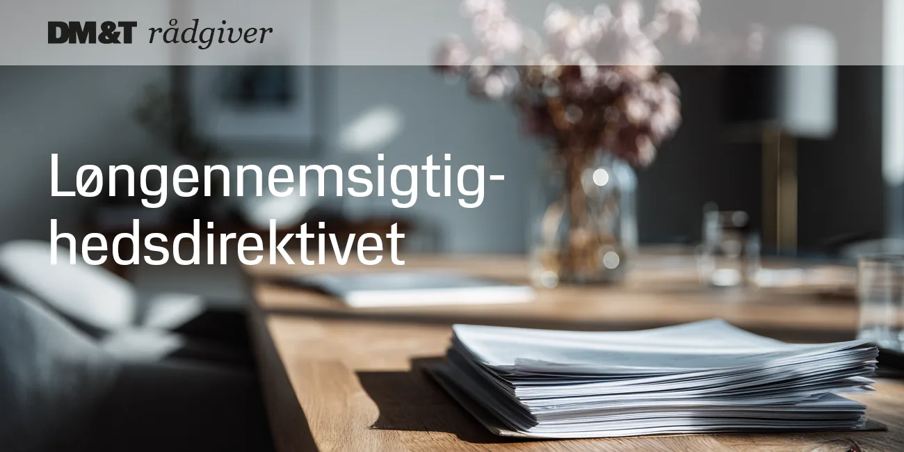 Dmogt rådgiver løngennemsigtighedsdirektivet 1300x650px