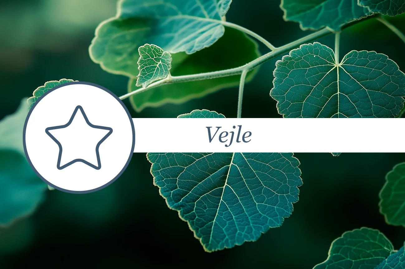 Trace workshop 27aug25 1300x866px