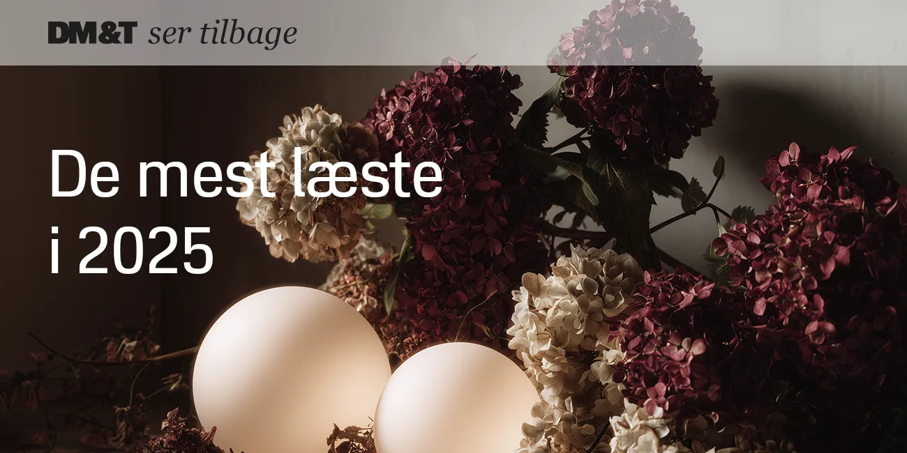 de mest læste i 2025 1300x650