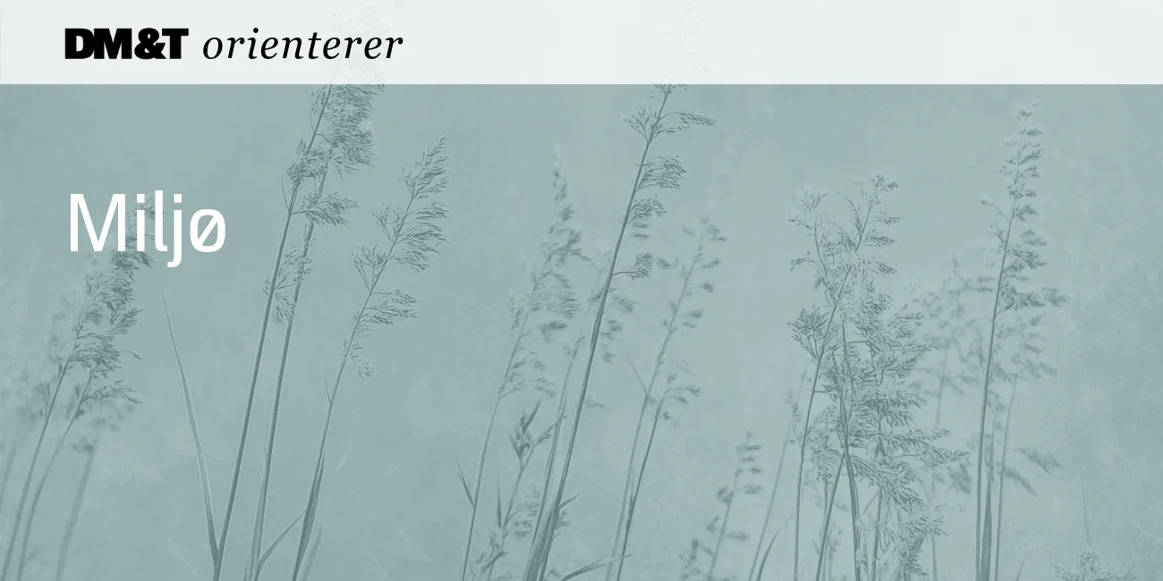 Skabeloner CB-56-Miljø 1300x650px