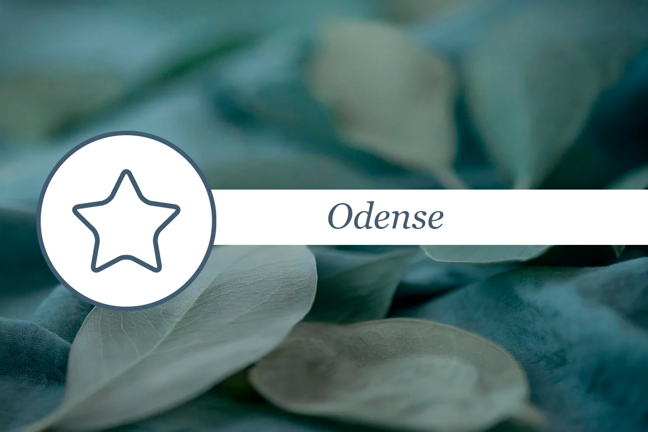 200126 Spejlmøde Miljøstyrelsen JRC 1300x866px