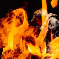 shamaani fire