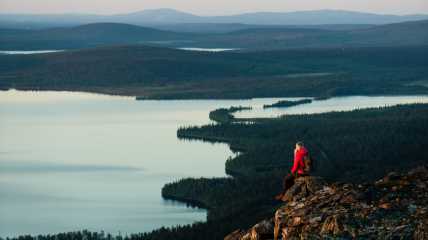 Kesä Pallas kansallispuisto maisema