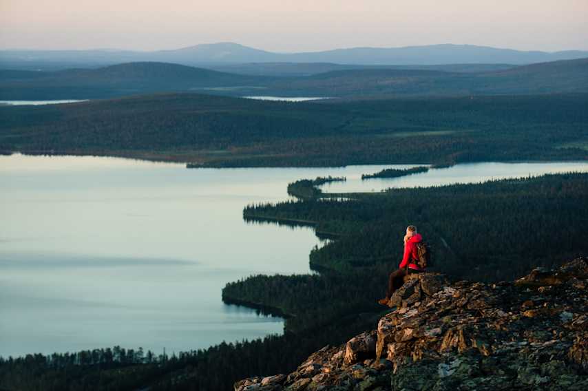 Kesä Pallas kansallispuisto maisema