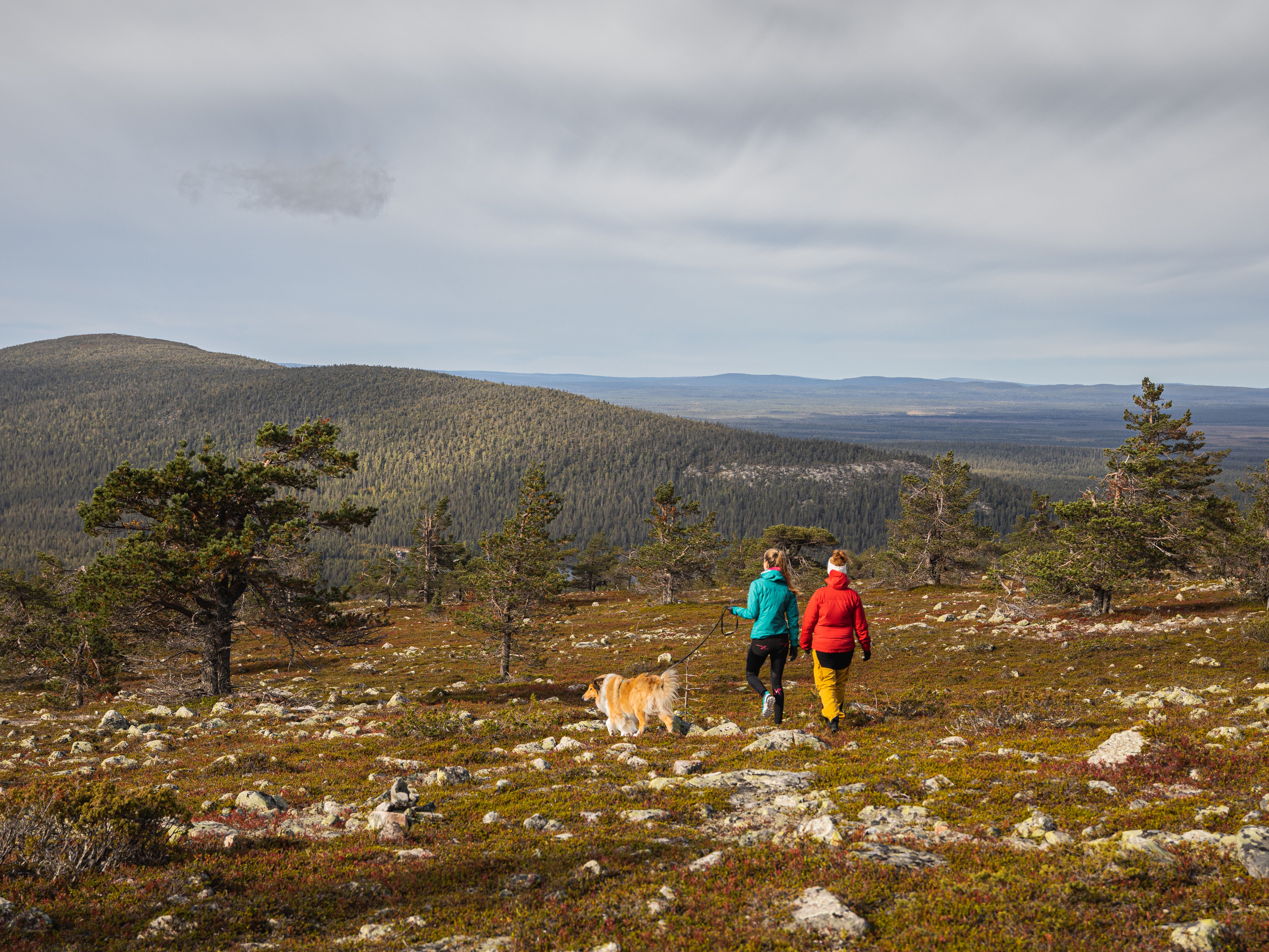 koiran kanssa tunturissa ruska