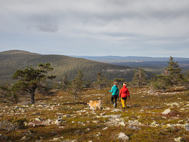 koiran kanssa tunturissa ruska