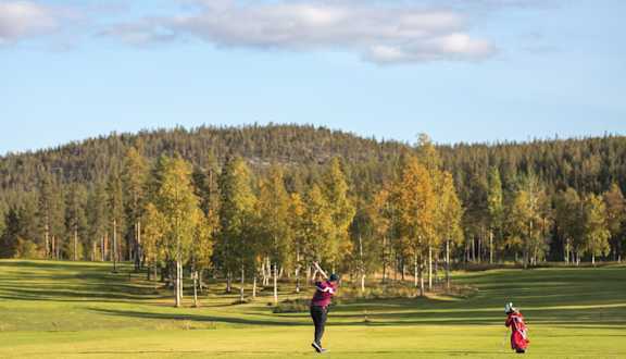 levi golf
