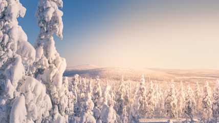 Luminen maisema Kumputunturille