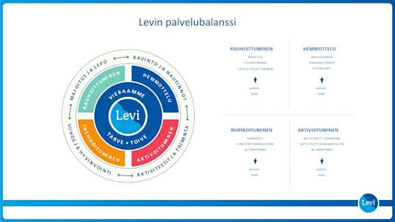 Levi strategia palvelubalanssi