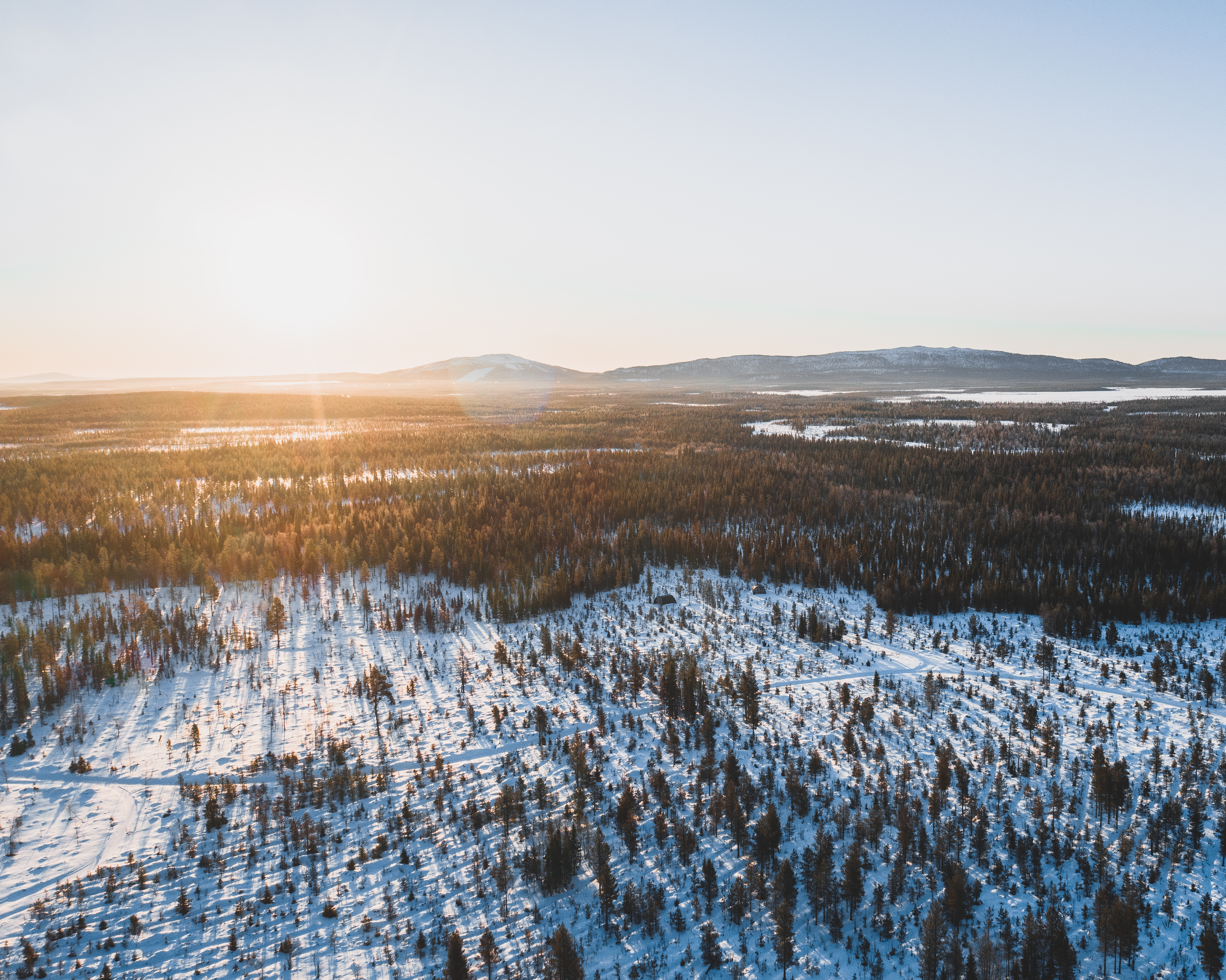 Josef Wittbeschlager