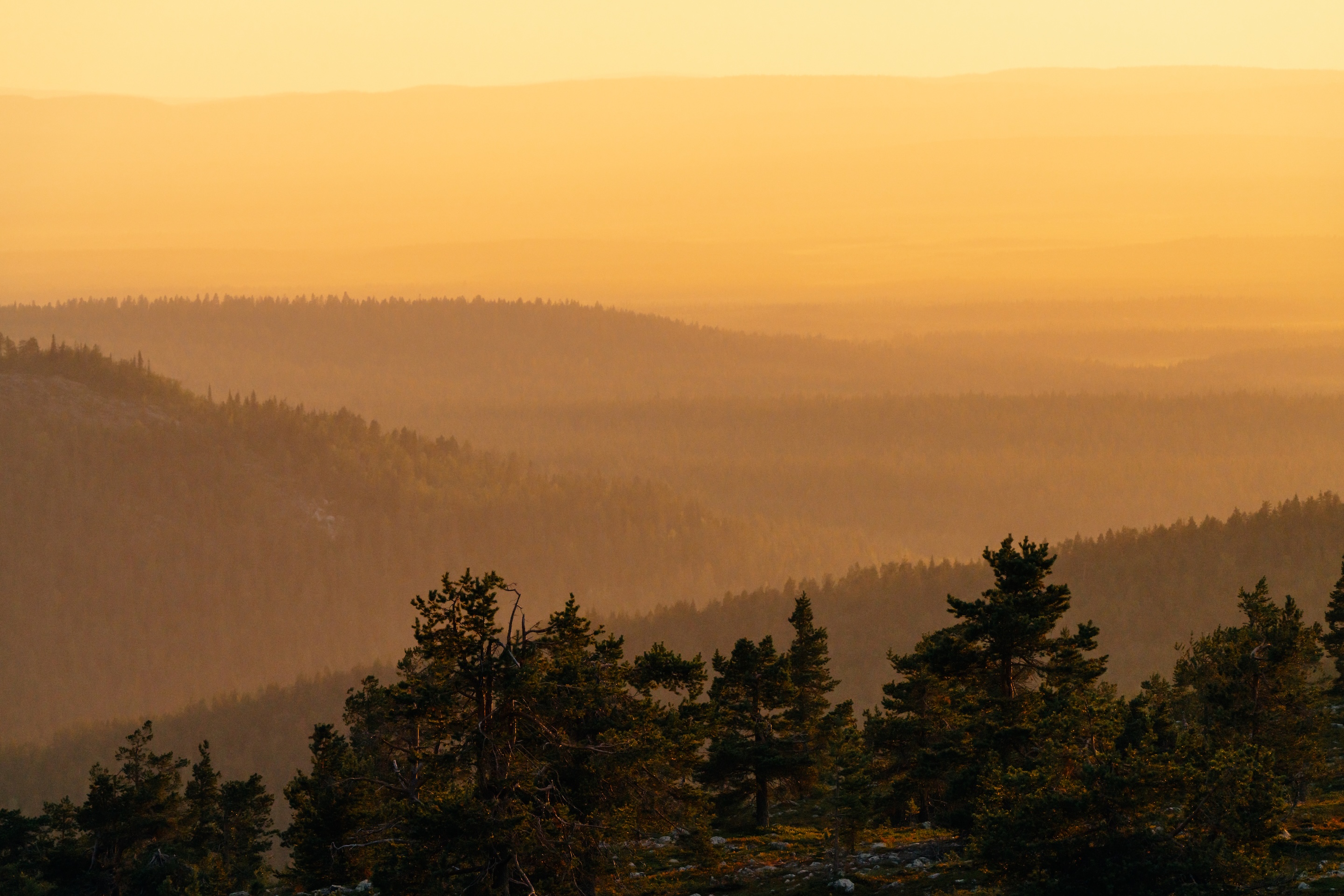 Midnight Sun Hunt