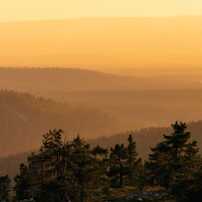 Midnight Sun Hunt