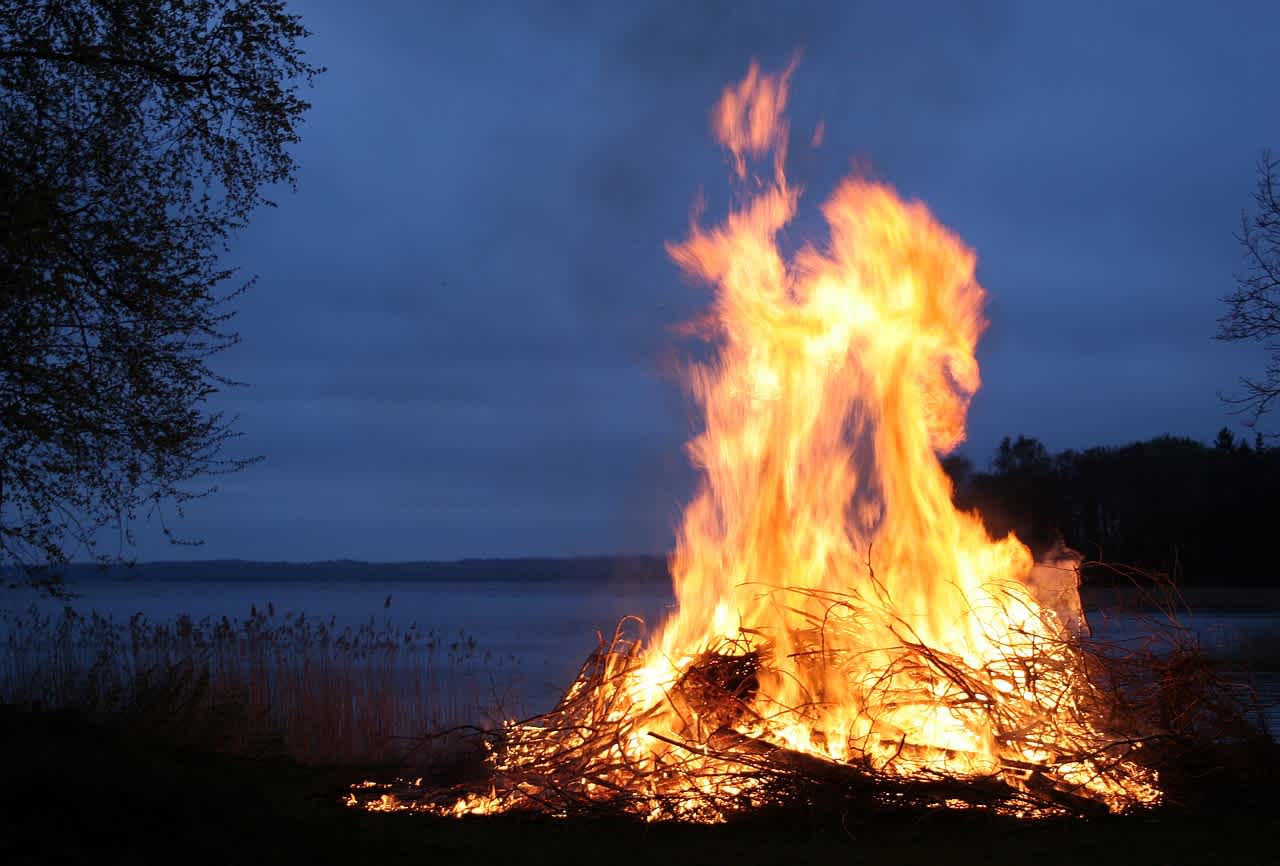 Kinos kokko
