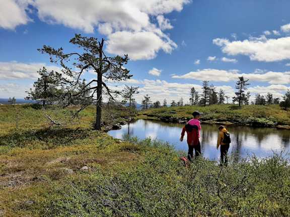 Lappi Experience tunturilampi