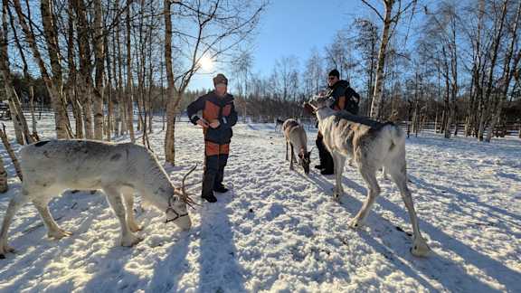 Lapponia Travel