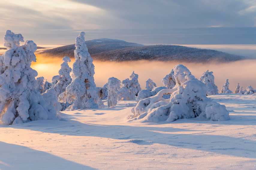 Lumiset puut ja Kätkä