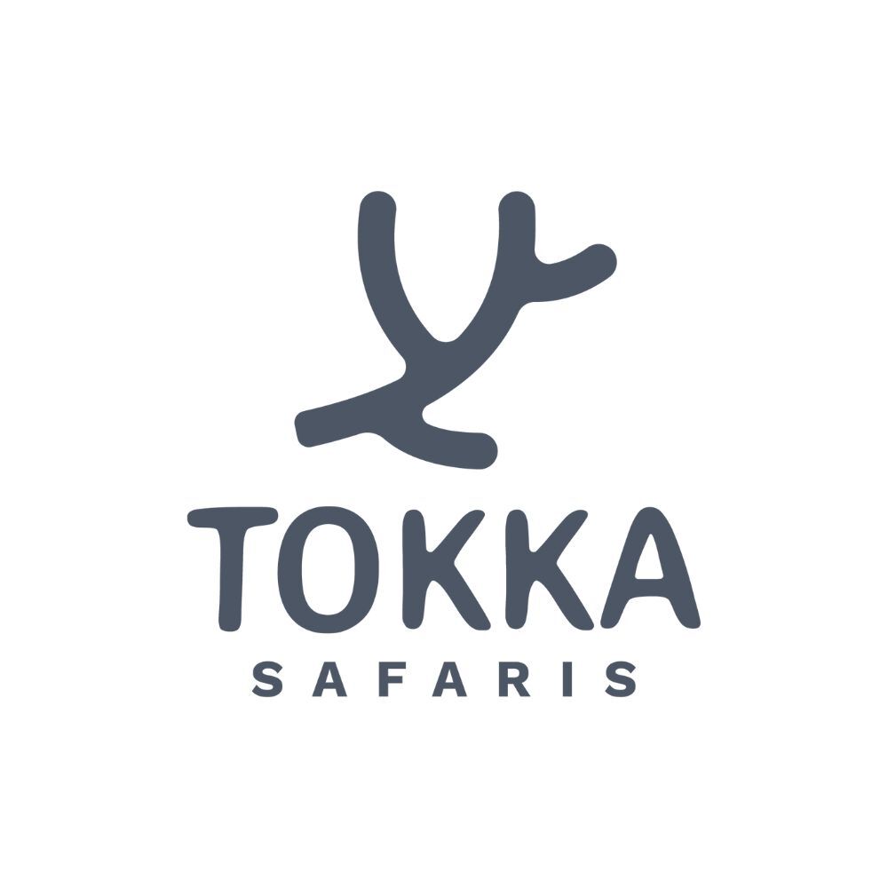 Tokka Safaris logo