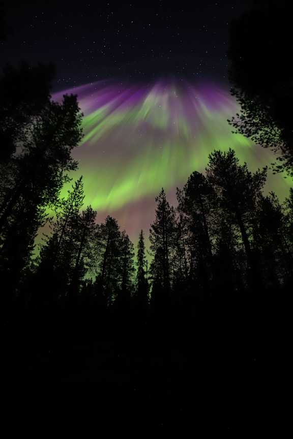 Arctic Verge auroras