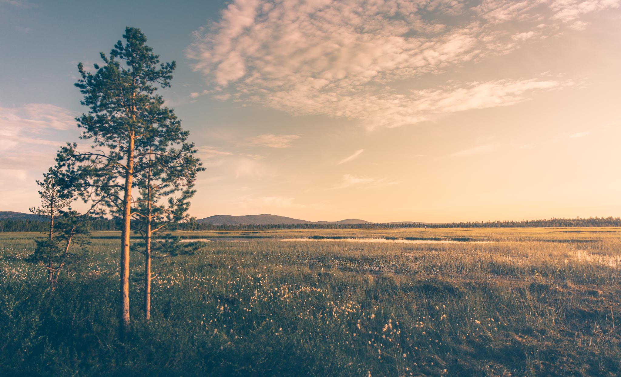 Levi2017 July H2A2638 Web
