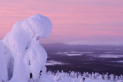 pinkki tammikuu maisema