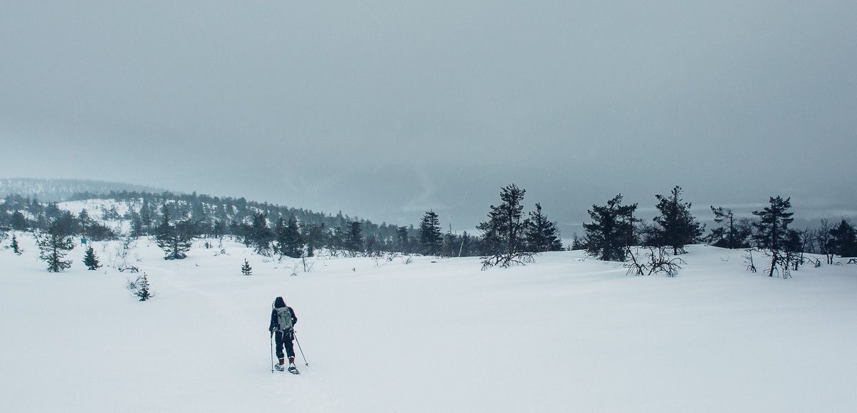 Snowshoe hiking is a relaxing way to enjoy the winter landscapes at Levi and experience the perfect natural peace.