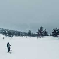 Snowshoe hiking is a relaxing way to enjoy the winter landscapes at Levi and experience the perfect natural peace.