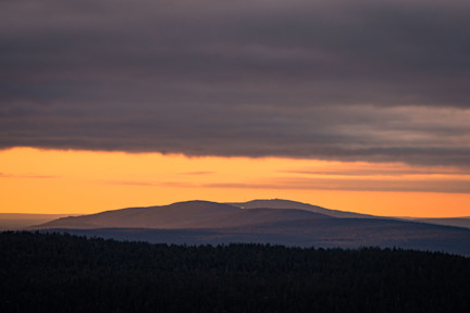 Levi kutsuu