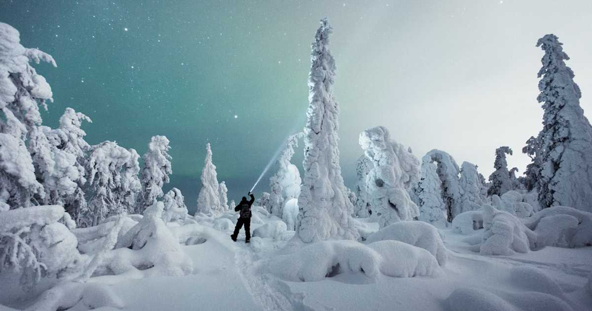 8 seasons of Levi – Real Winter