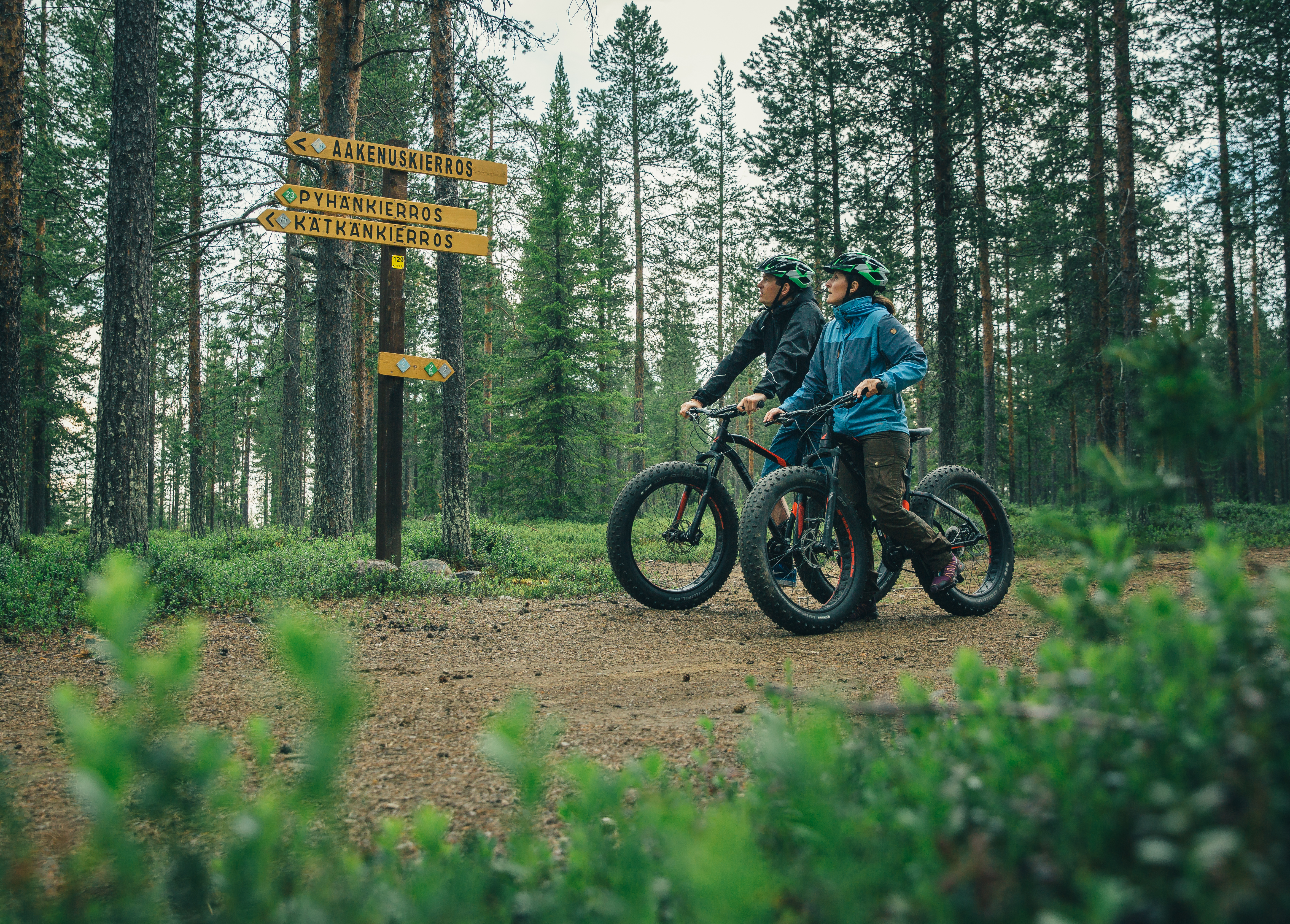 pyöräilijät polulla kesä