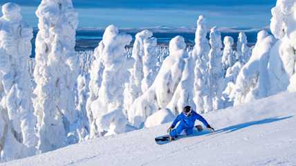 Levi February2021 3550