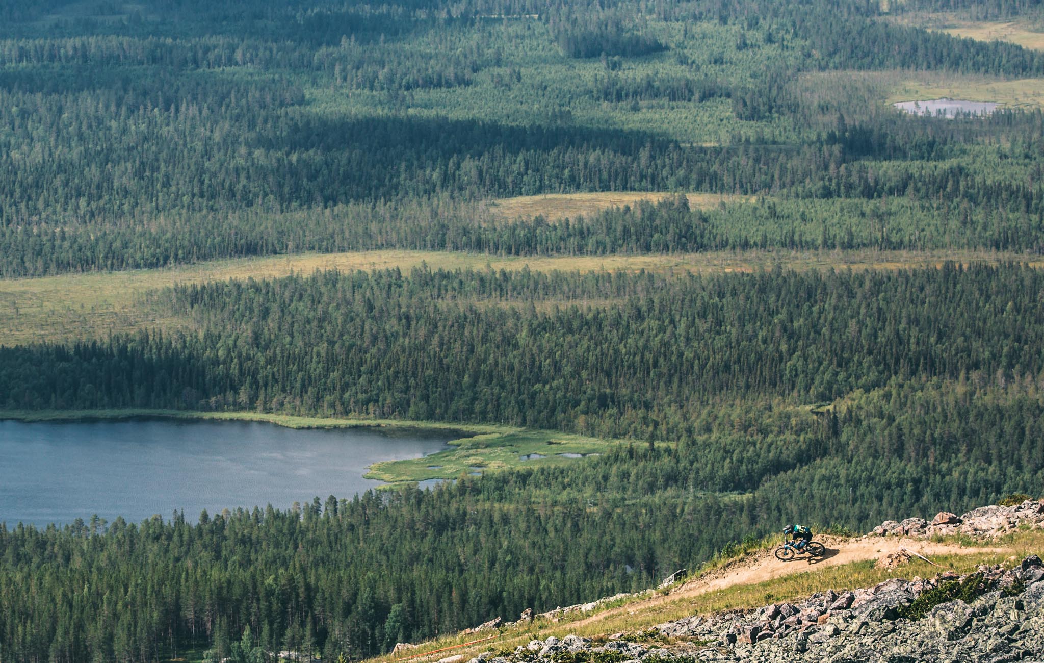 Levi2017 July H2A6610 Web