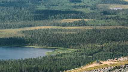 Levi2017 July H2A6610 Web