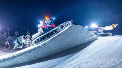 Levi January-2024 3785