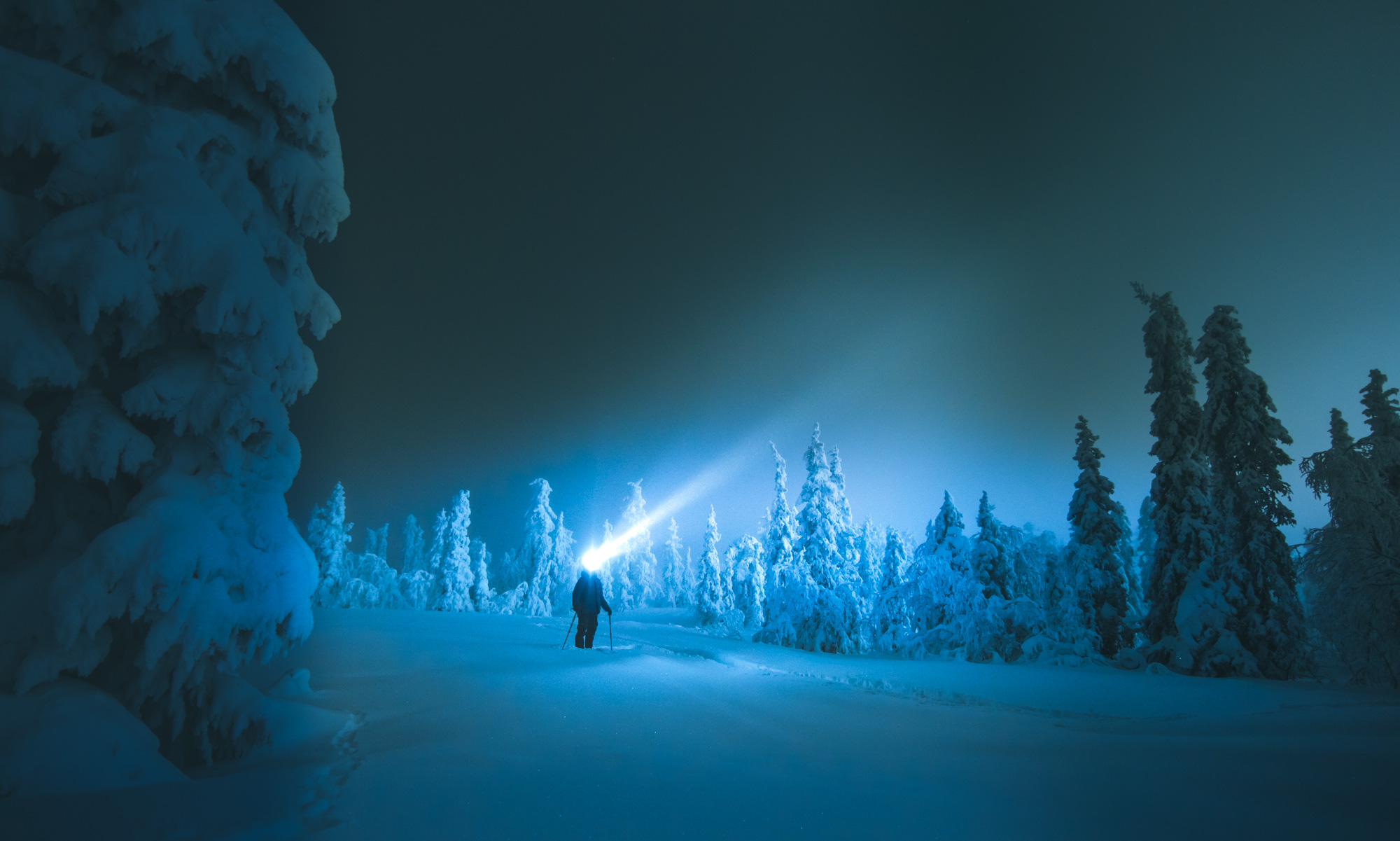 levi2017 h2a1338 november web