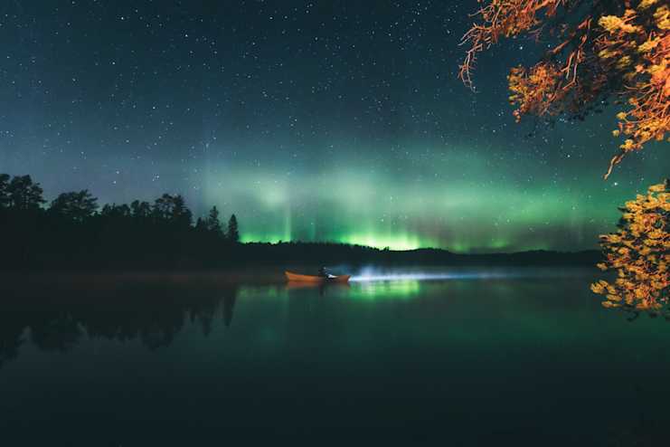 Terhi Tuovinen
