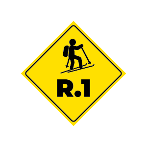 lsr rando1