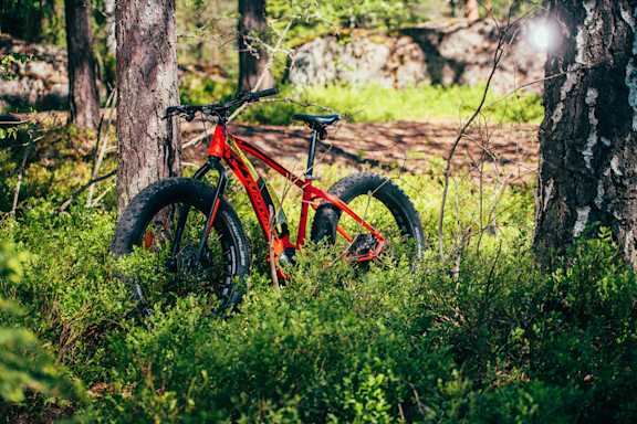 E-fatbike metsässä