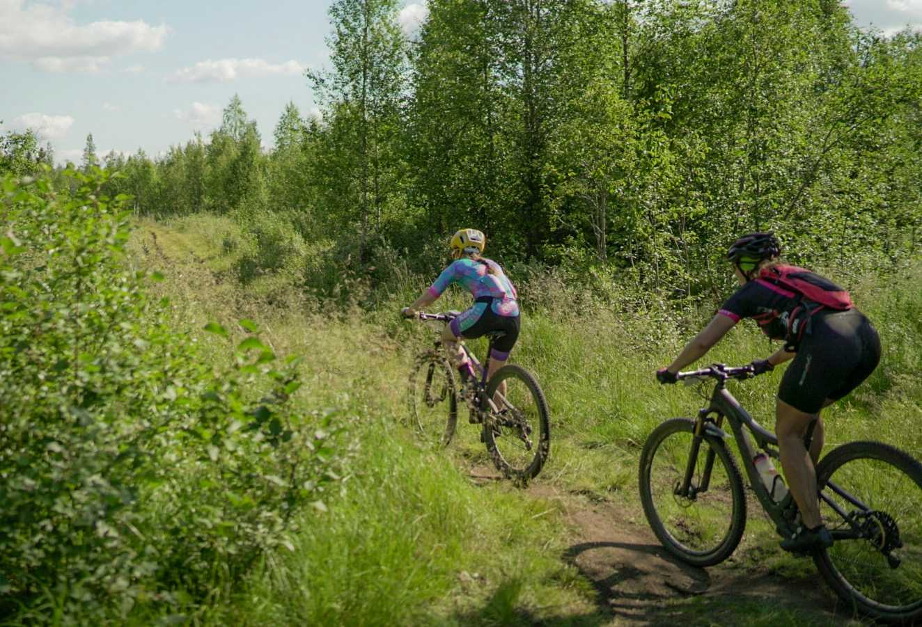 yllas levi mtb 2