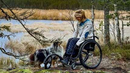 Ihmiset Tea Ryti koira